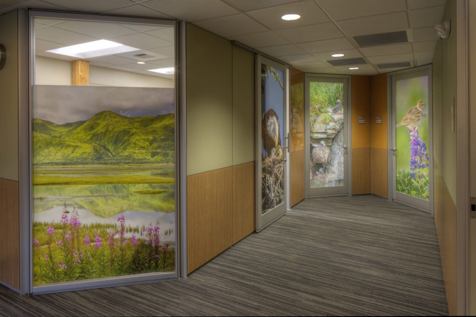 LCG Lantech, Inc. – Mill Bay Health Center Design & Build